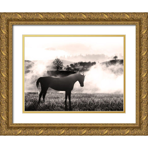 Wandering Horse 2 Gold Ornate Wood Framed Art Print with Double Matting by Prime, Marcus
