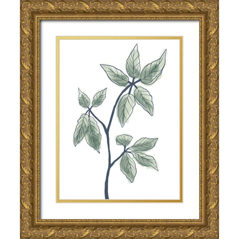 Illustrated Botanicals Gold Ornate Wood Framed Art Print with Double Matting by Prime, Marcus