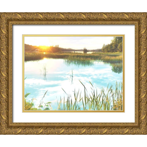 Sunny Marsh Gold Ornate Wood Framed Art Print with Double Matting by Prime, Marcus