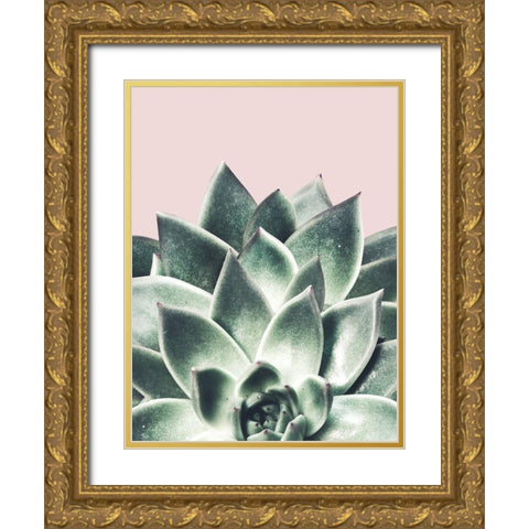 Succulent Queen Gold Ornate Wood Framed Art Print with Double Matting by Prime, Marcus