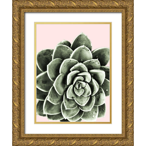 Succulent Beauty Gold Ornate Wood Framed Art Print with Double Matting by Prime, Marcus