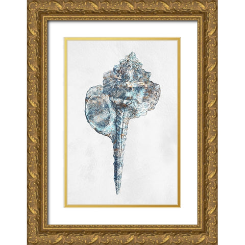 Urban Sea Shell 1 Gold Ornate Wood Framed Art Print with Double Matting by Prime, Marcus