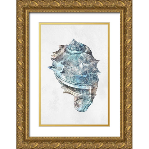 Urban Sea Shell 2 Gold Ornate Wood Framed Art Print with Double Matting by Prime, Marcus