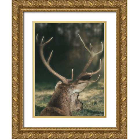 Wandering Buck Gold Ornate Wood Framed Art Print with Double Matting by Prime, Marcus