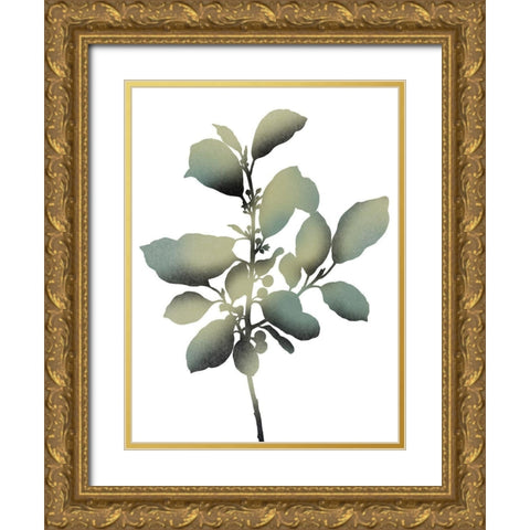 Morphism Of Dreams 2 Gold Ornate Wood Framed Art Print with Double Matting by Prime, Marcus