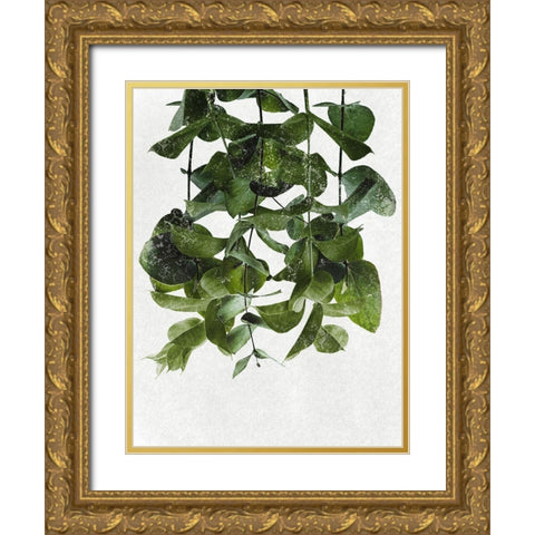 Hanging Eucalyptus Gold Ornate Wood Framed Art Print with Double Matting by Prime, Marcus