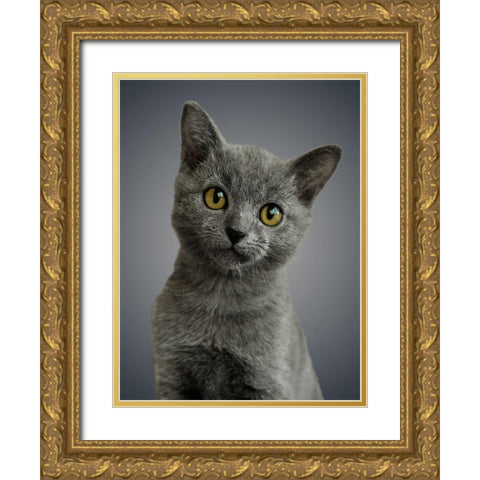 Boundless Cuteness 6 Gold Ornate Wood Framed Art Print with Double Matting by Prime, Marcus