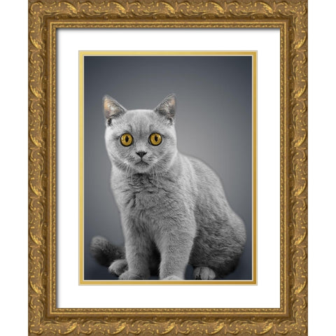 Boundless Cuteness 7 Gold Ornate Wood Framed Art Print with Double Matting by Prime, Marcus