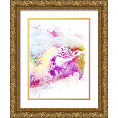 Marvelous Macaw 1 Gold Ornate Wood Framed Art Print with Double Matting by Prime, Marcus