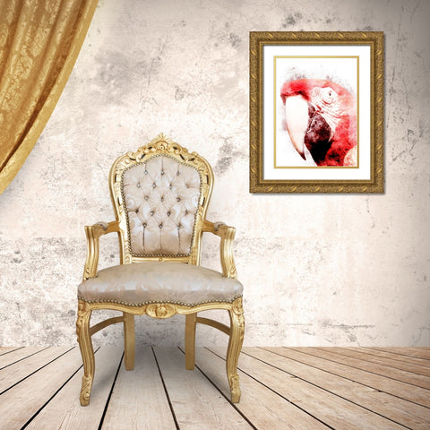 Marvelous Macaw 3 Gold Ornate Wood Framed Art Print with Double Matting by Prime, Marcus