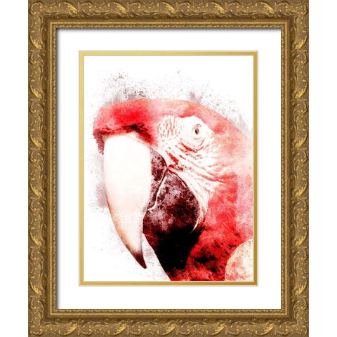 Marvelous Macaw 3 Gold Ornate Wood Framed Art Print with Double Matting by Prime, Marcus
