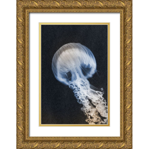 Floating Queen 2 Gold Ornate Wood Framed Art Print with Double Matting by Prime, Marcus