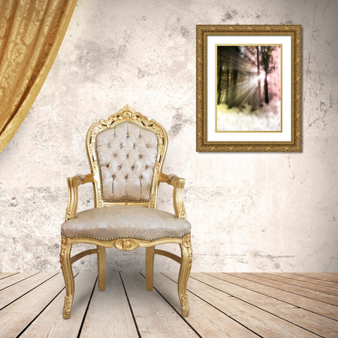 Sunset Haze Gold Ornate Wood Framed Art Print with Double Matting by Prime, Marcus
