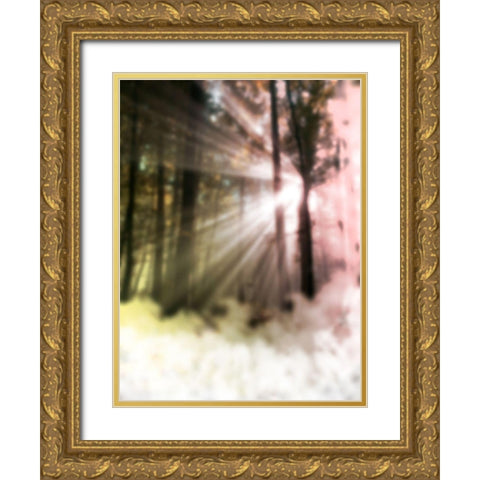 Sunset Haze Gold Ornate Wood Framed Art Print with Double Matting by Prime, Marcus