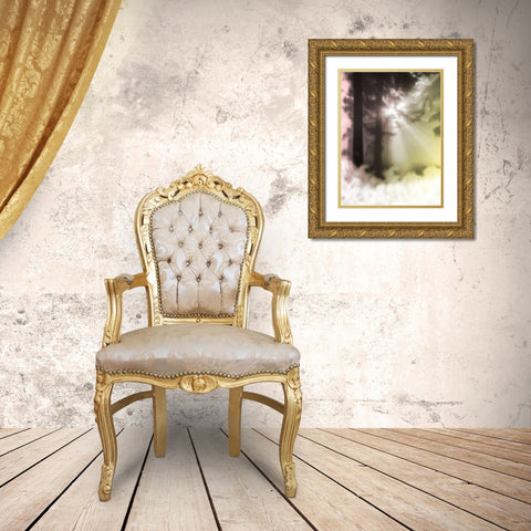 Sunset Haze 2 Gold Ornate Wood Framed Art Print with Double Matting by Prime, Marcus