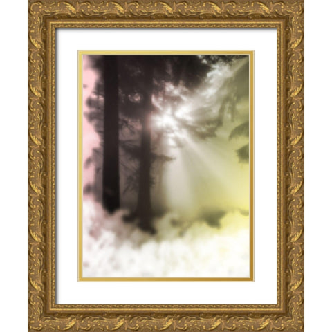 Sunset Haze 2 Gold Ornate Wood Framed Art Print with Double Matting by Prime, Marcus