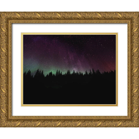 Borealis Dreams 2 Gold Ornate Wood Framed Art Print with Double Matting by Prime, Marcus