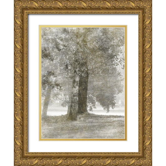Perspective Image