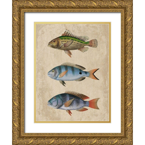 Fish Friends 1 Gold Ornate Wood Framed Art Print with Double Matting by Prime, Marcus