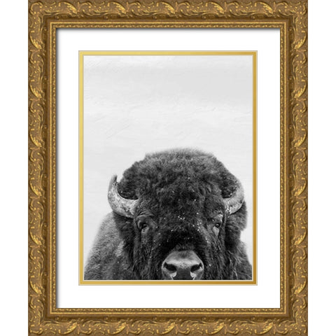M Bison Gold Ornate Wood Framed Art Print with Double Matting by Prime, Marcus