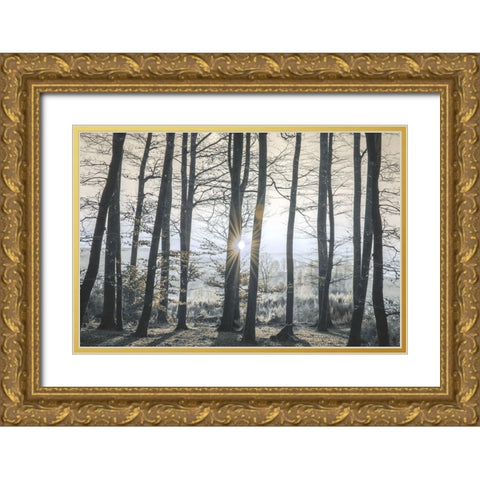 Peaceful Shine Gold Ornate Wood Framed Art Print with Double Matting by Prime, Marcus