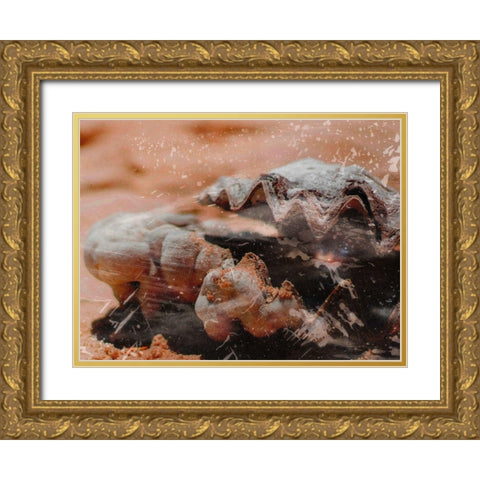Shiny Oyster 1 Gold Ornate Wood Framed Art Print with Double Matting by Prime, Marcus