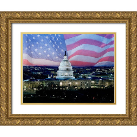 Capitol Pride Gold Ornate Wood Framed Art Print with Double Matting by Prime, Marcus
