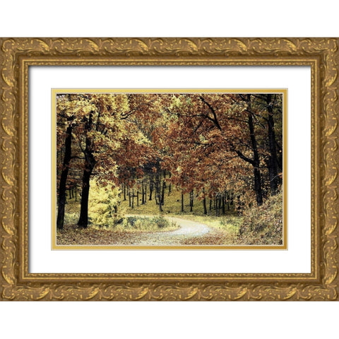 Wilderness Walk 1 Gold Ornate Wood Framed Art Print with Double Matting by Prime, Marcus