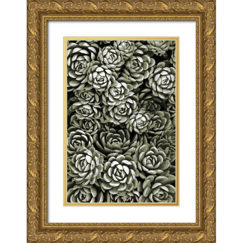 Botanical Farm 1 Gold Ornate Wood Framed Art Print with Double Matting by Prime, Marcus