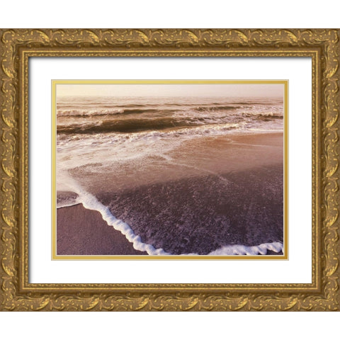 Prismatic Beach Gold Ornate Wood Framed Art Print with Double Matting by Prime, Marcus