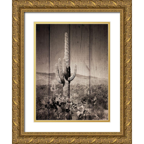 Western Vibes Gold Ornate Wood Framed Art Print with Double Matting by Prime, Marcus