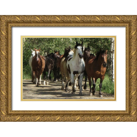 Galloping Friends Gold Ornate Wood Framed Art Print with Double Matting by Prime, Marcus