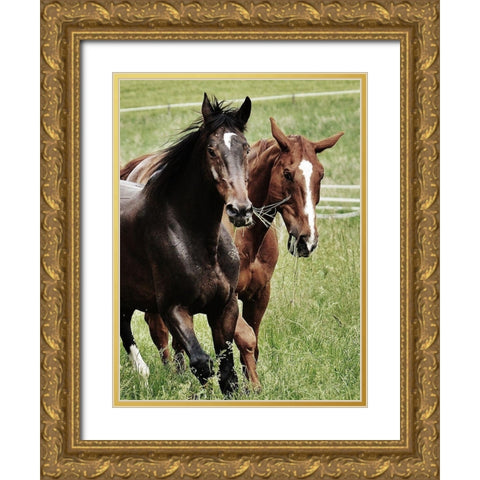 Free Spirits 1 Gold Ornate Wood Framed Art Print with Double Matting by Prime, Marcus