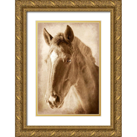 Wild Stallion 1 Gold Ornate Wood Framed Art Print with Double Matting by Prime, Marcus