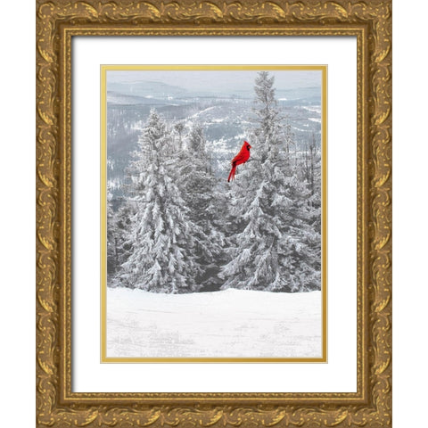 Merry Cardinal 1 Gold Ornate Wood Framed Art Print with Double Matting by Prime, Marcus