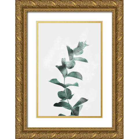 Misty Eucalyptus Gold Ornate Wood Framed Art Print with Double Matting by Prime, Marcus