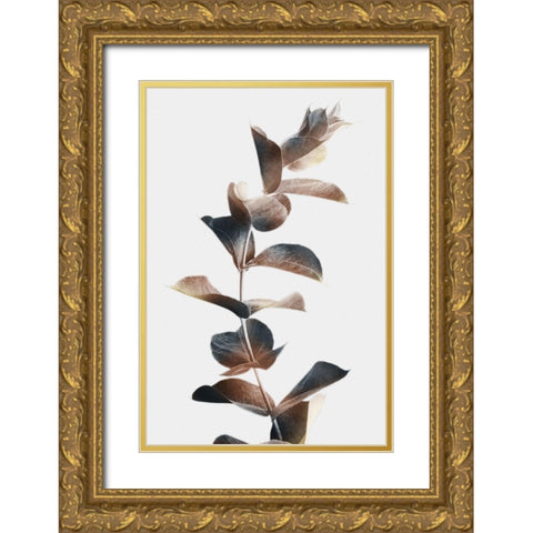 Autumn Eucalyptus 2 Gold Ornate Wood Framed Art Print with Double Matting by Prime, Marcus