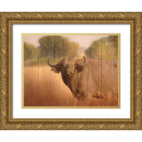 Strolling Fella Gold Ornate Wood Framed Art Print with Double Matting by Prime, Marcus