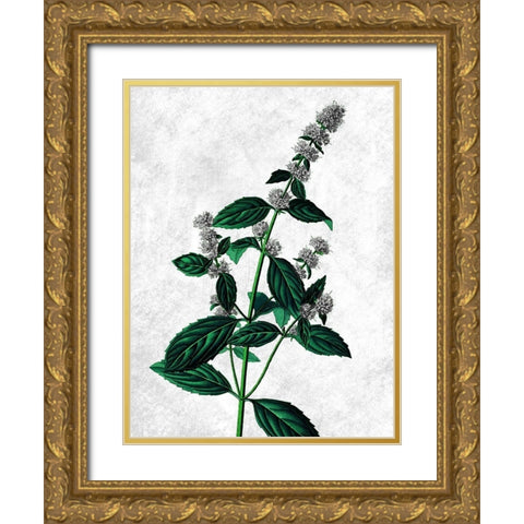 Striking Growth Gold Ornate Wood Framed Art Print with Double Matting by Prime, Marcus