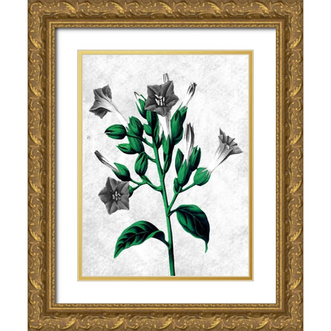 Striking Growth 2 Gold Ornate Wood Framed Art Print with Double Matting by Prime, Marcus