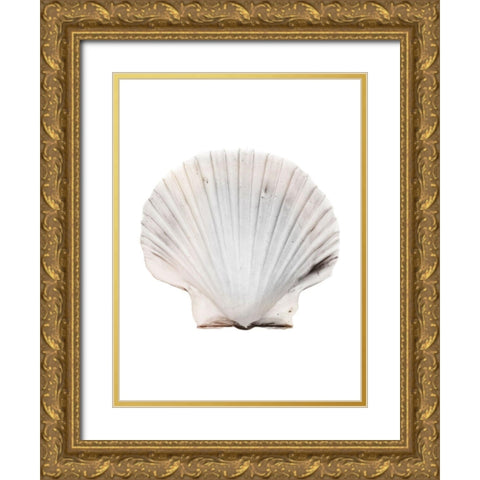 Calming Shell Gold Ornate Wood Framed Art Print with Double Matting by Prime, Marcus
