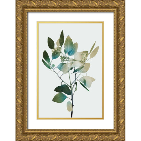 Blonde Eucalyptus 1 Gold Ornate Wood Framed Art Print with Double Matting by Prime, Marcus