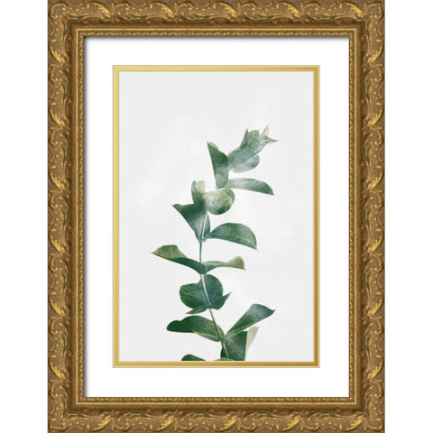 Gold Kissed Eucalyptus Gold Ornate Wood Framed Art Print with Double Matting by Prime, Marcus