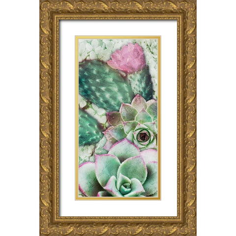 Springtime Succulents 3 Gold Ornate Wood Framed Art Print with Double Matting by Prime, Marcus