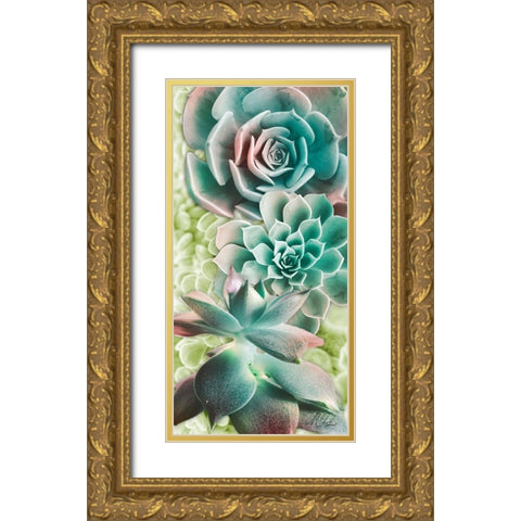 Adored Succulents 6 Gold Ornate Wood Framed Art Print with Double Matting by Prime, Marcus