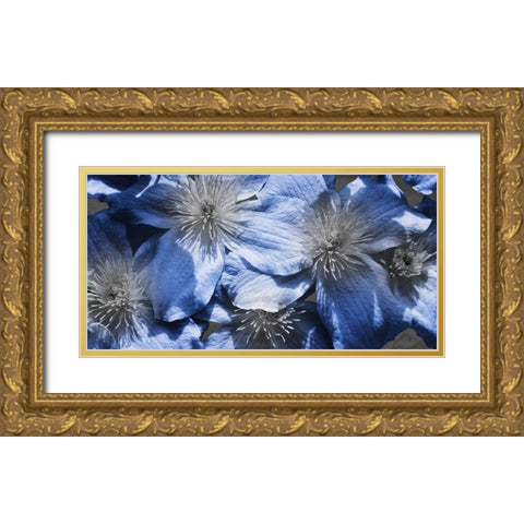 Indigo Wild 1 Gold Ornate Wood Framed Art Print with Double Matting by Prime, Marcus