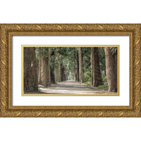 Wilderness Stroll 2 Gold Ornate Wood Framed Art Print with Double Matting by Prime, Marcus