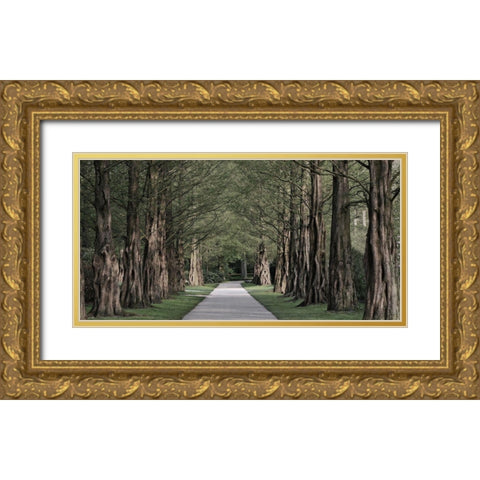 Freedom Road 2 Gold Ornate Wood Framed Art Print with Double Matting by Prime, Marcus