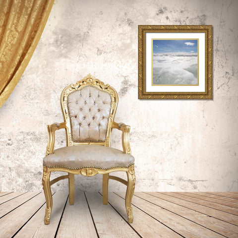 Bubbles In The Sea 1 Gold Ornate Wood Framed Art Print with Double Matting by Prime, Marcus