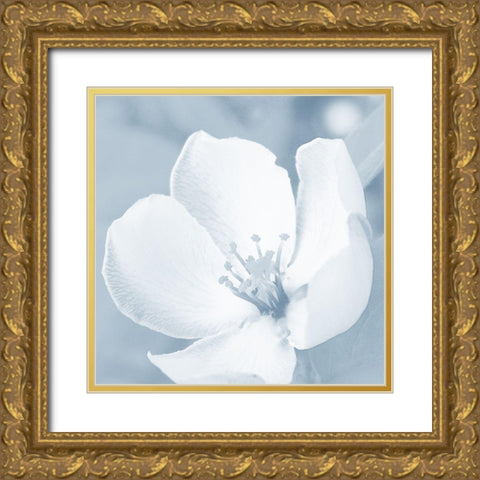 Blooming Love 1 Gold Ornate Wood Framed Art Print with Double Matting by Prime, Marcus